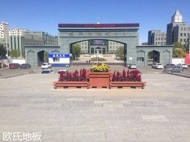 包頭回民中學(xué)運(yùn)動(dòng)木地板案例