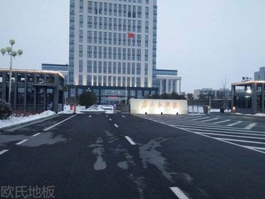 安徽滁州來(lái)安縣公安局運(yùn)動(dòng)木地板案列