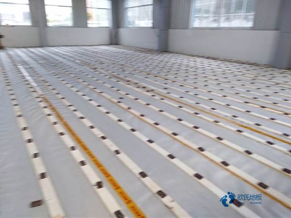雙龍骨籃球場地板保養