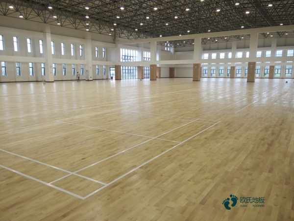 懸浮式運動木地板清潔保養