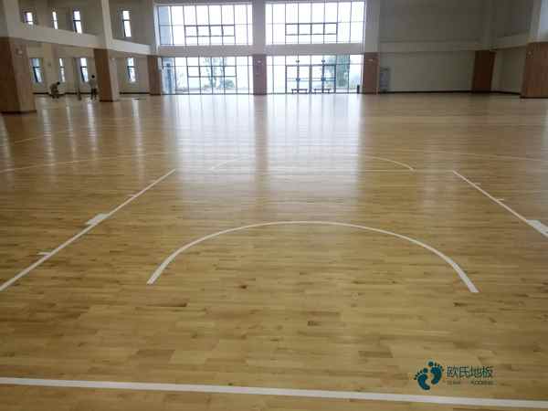 學(xué)校籃球館木地板木紋2