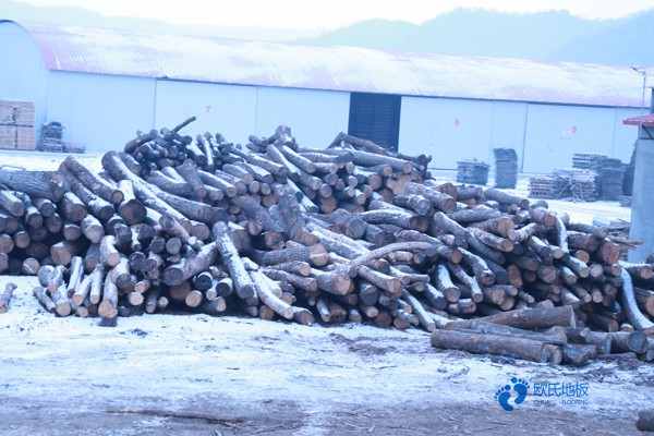 優惠的籃球體育地板哪種好