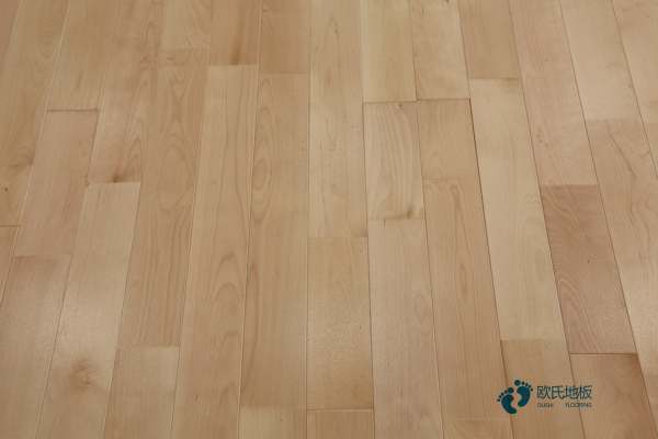 運(yùn)動(dòng)體育地板品牌有哪些3