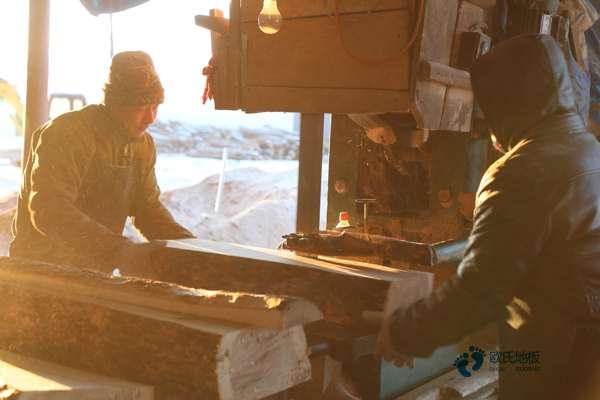 室內(nèi)運動木地板維修